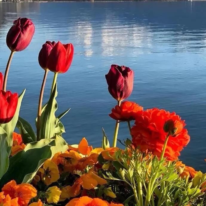 静心足舍足浴店