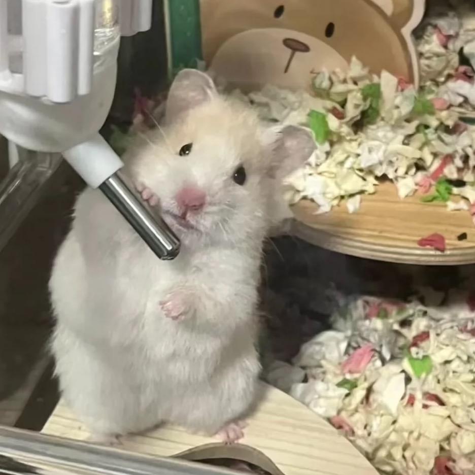 不知道怎么取名字