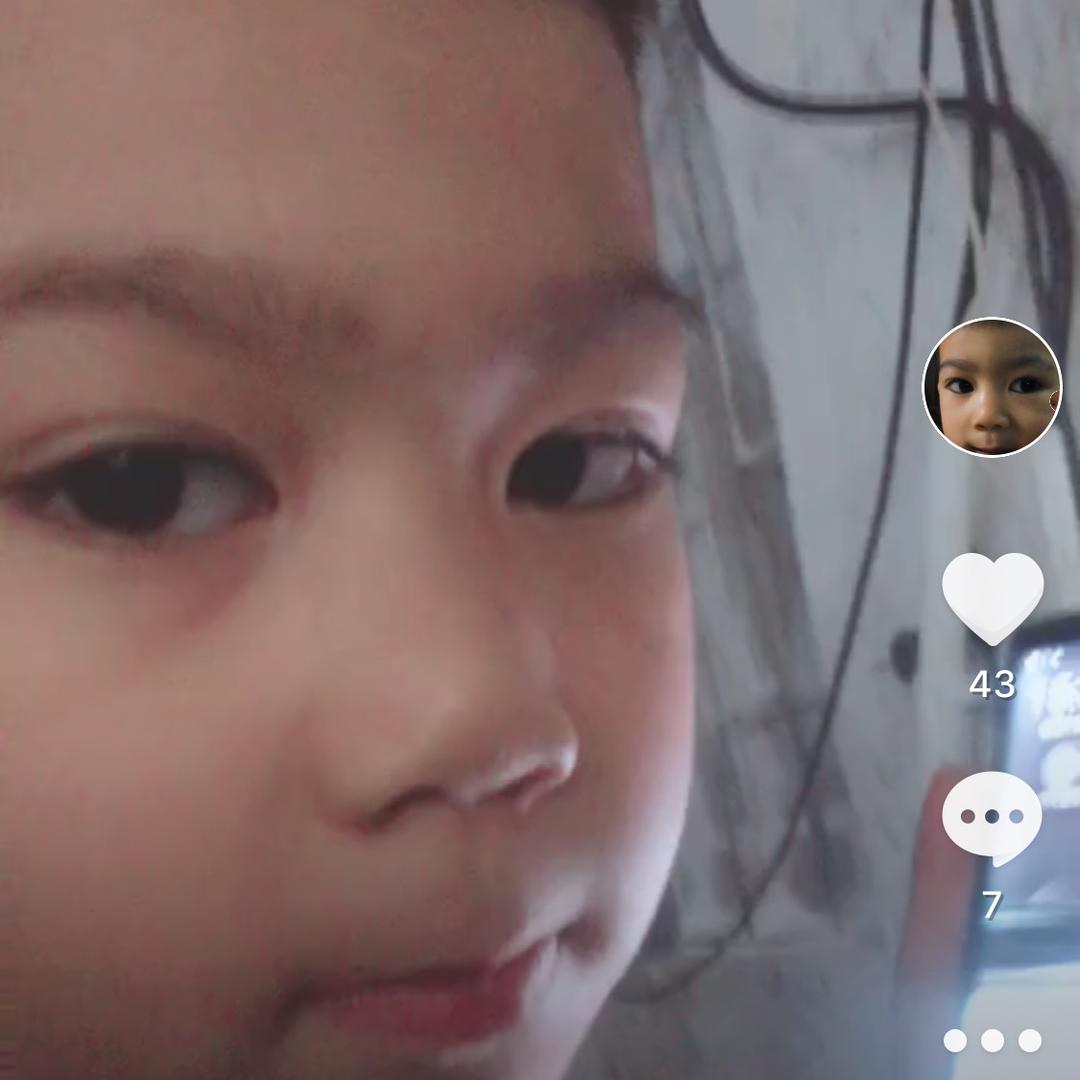 肥九