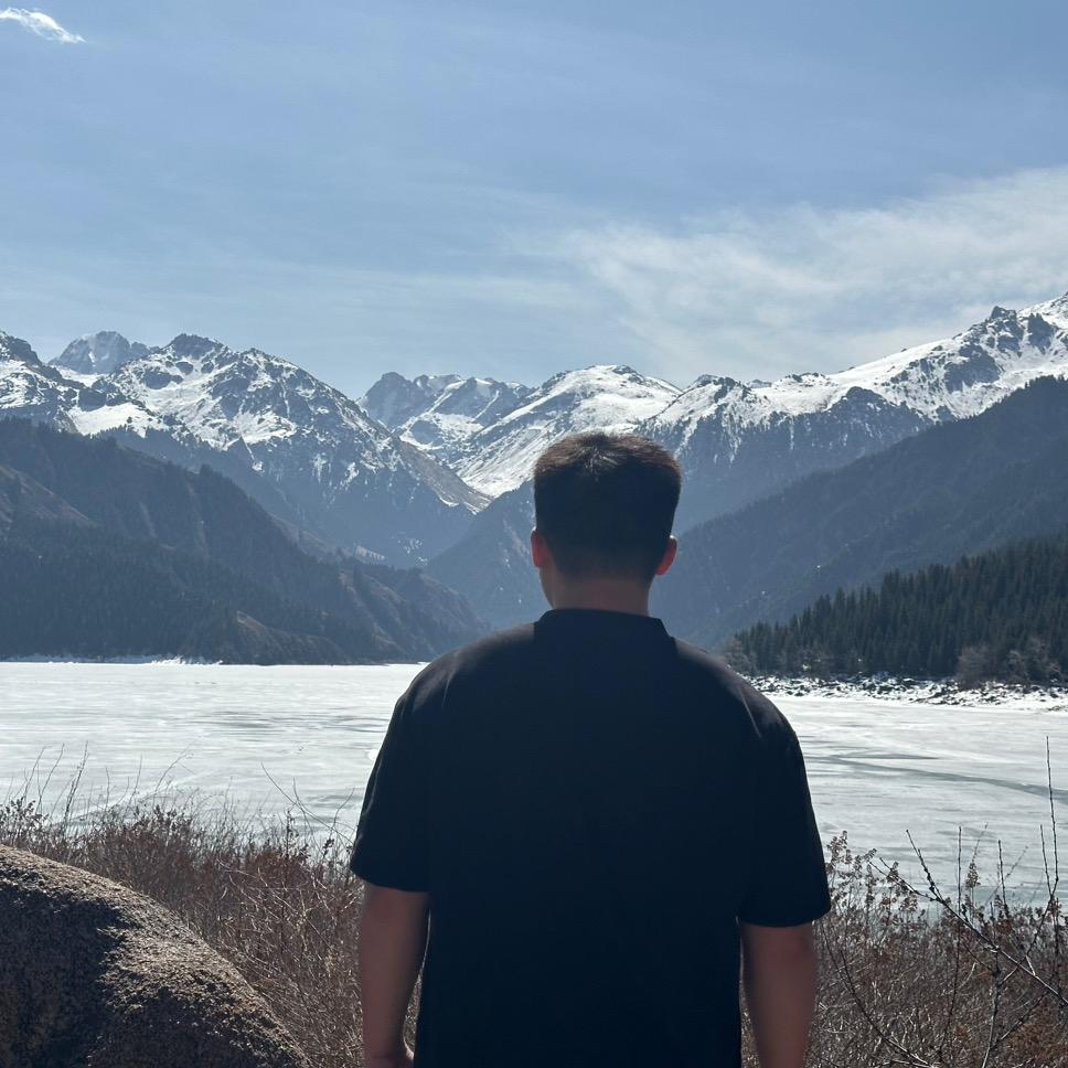 董董（四季招生中）