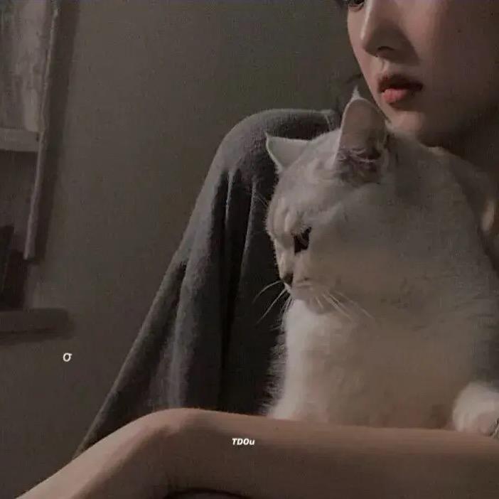 时光杂货铺-桃子