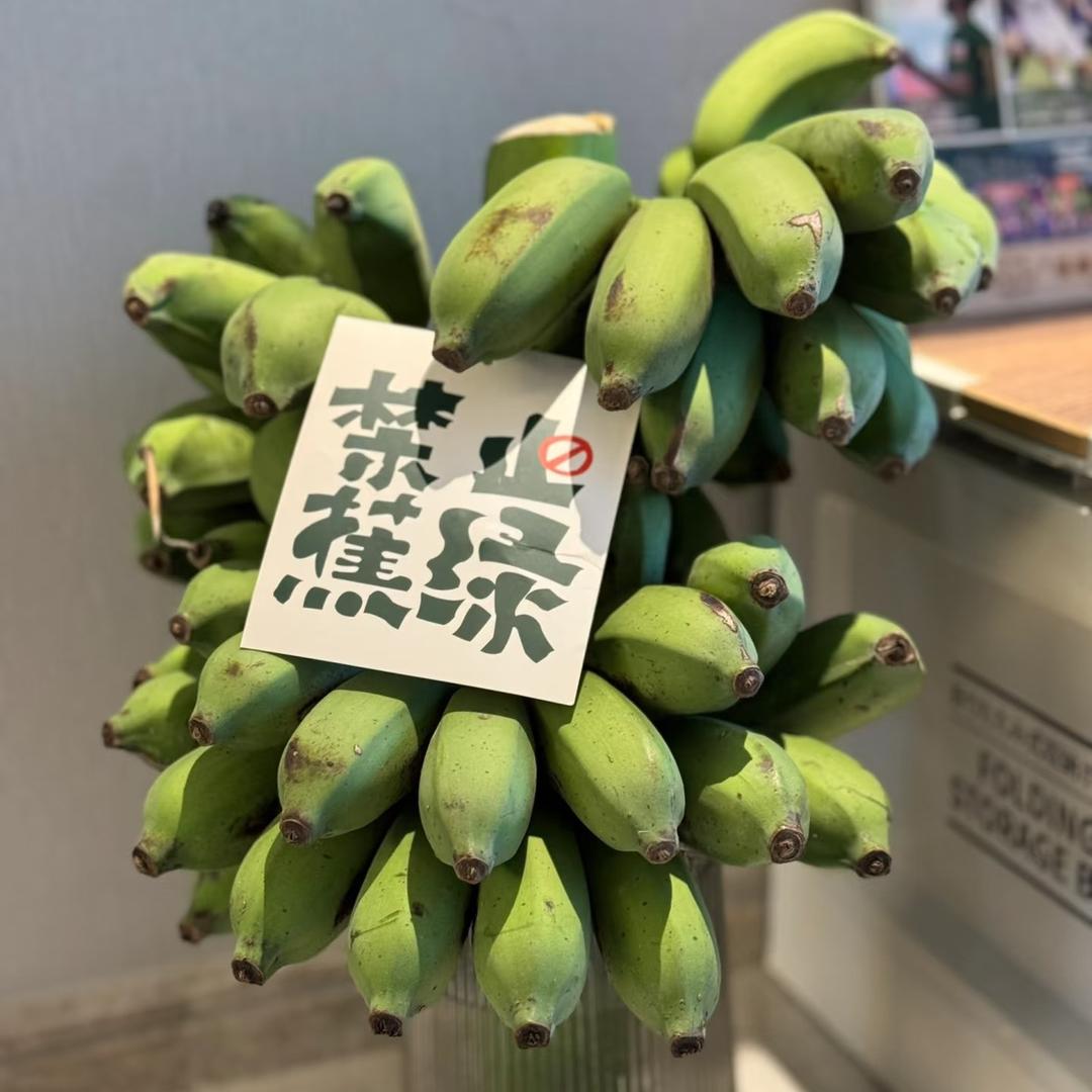 呆呆瓜兄弟（切片