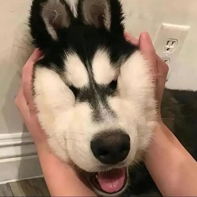 曹小亮、🔆