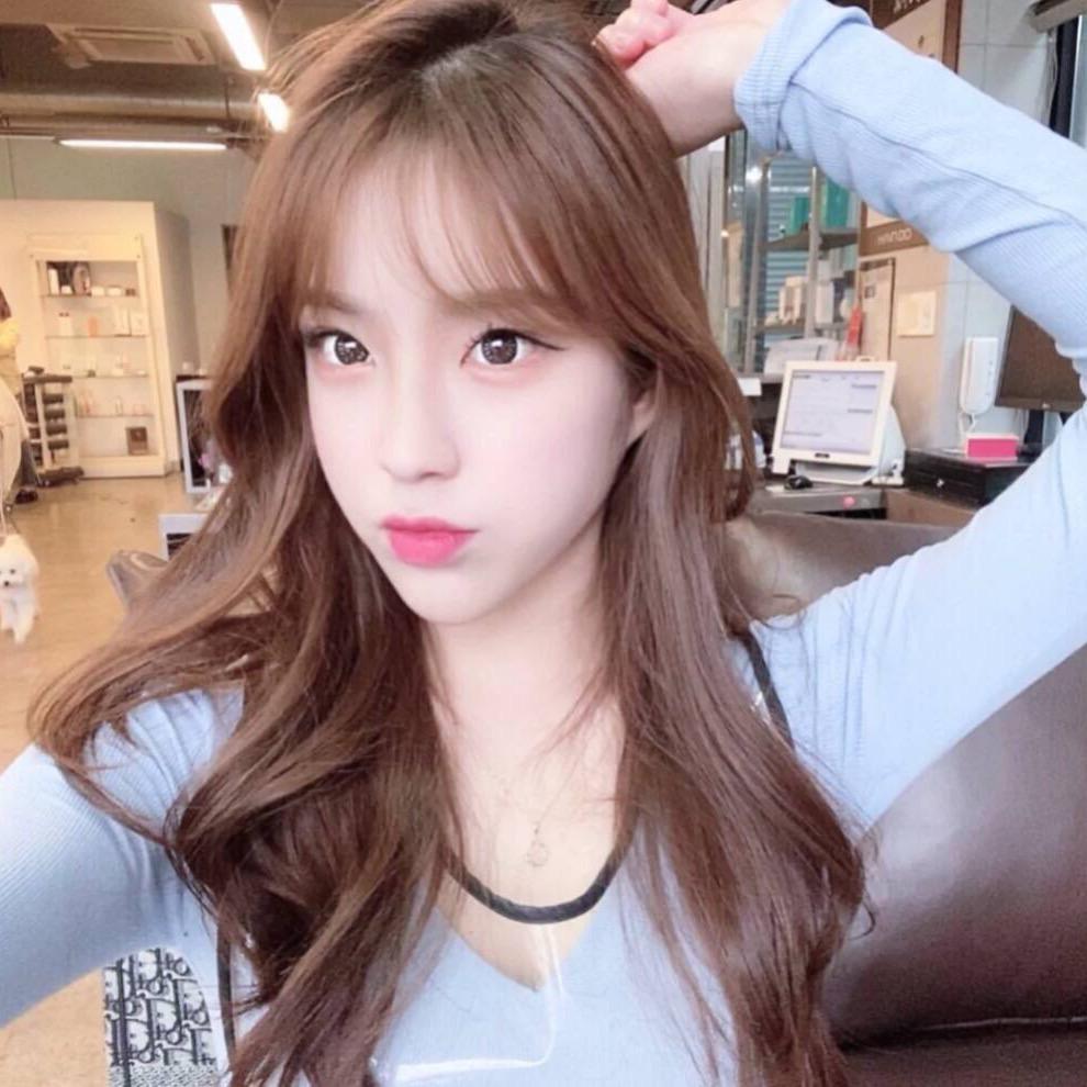 森林与鹿💕