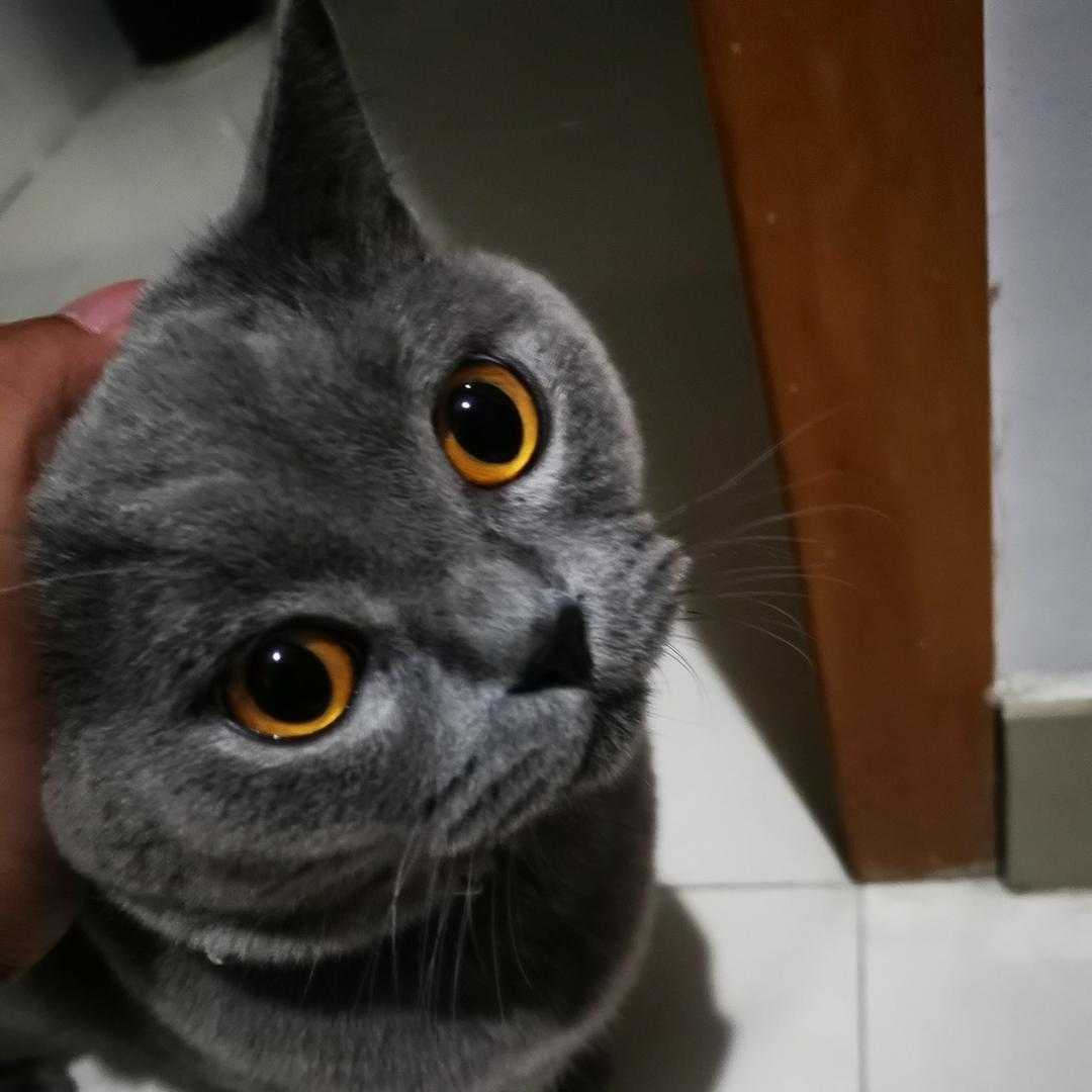 乾元清清游泳馆