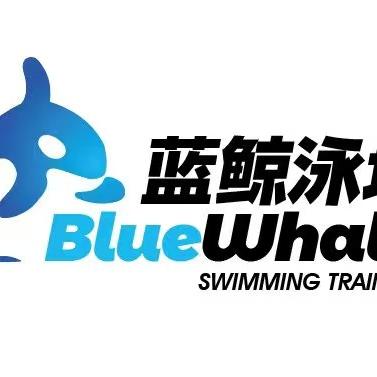 蓝鲸游泳训—小刚老师