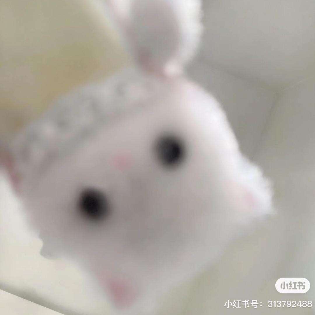 小谕咕噜咕噜（见过时团版）