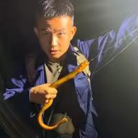 羽豪鳝钓