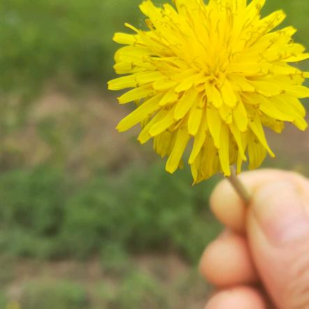 握不住的沙，直接撒了他。