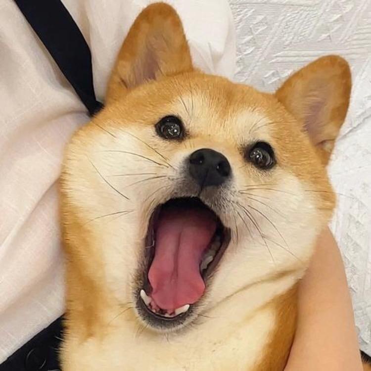 五叔打虎