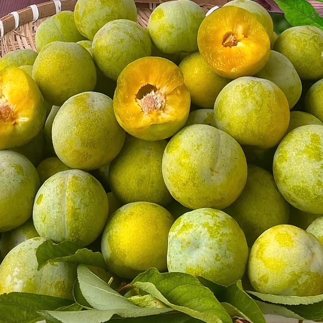 老农蔬果杂粮