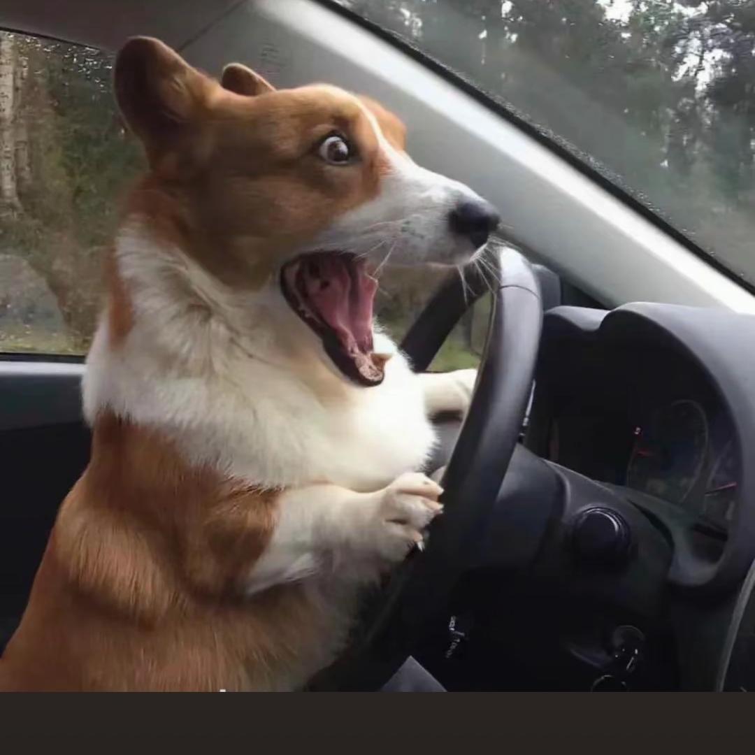 携陈优选外贸鞋