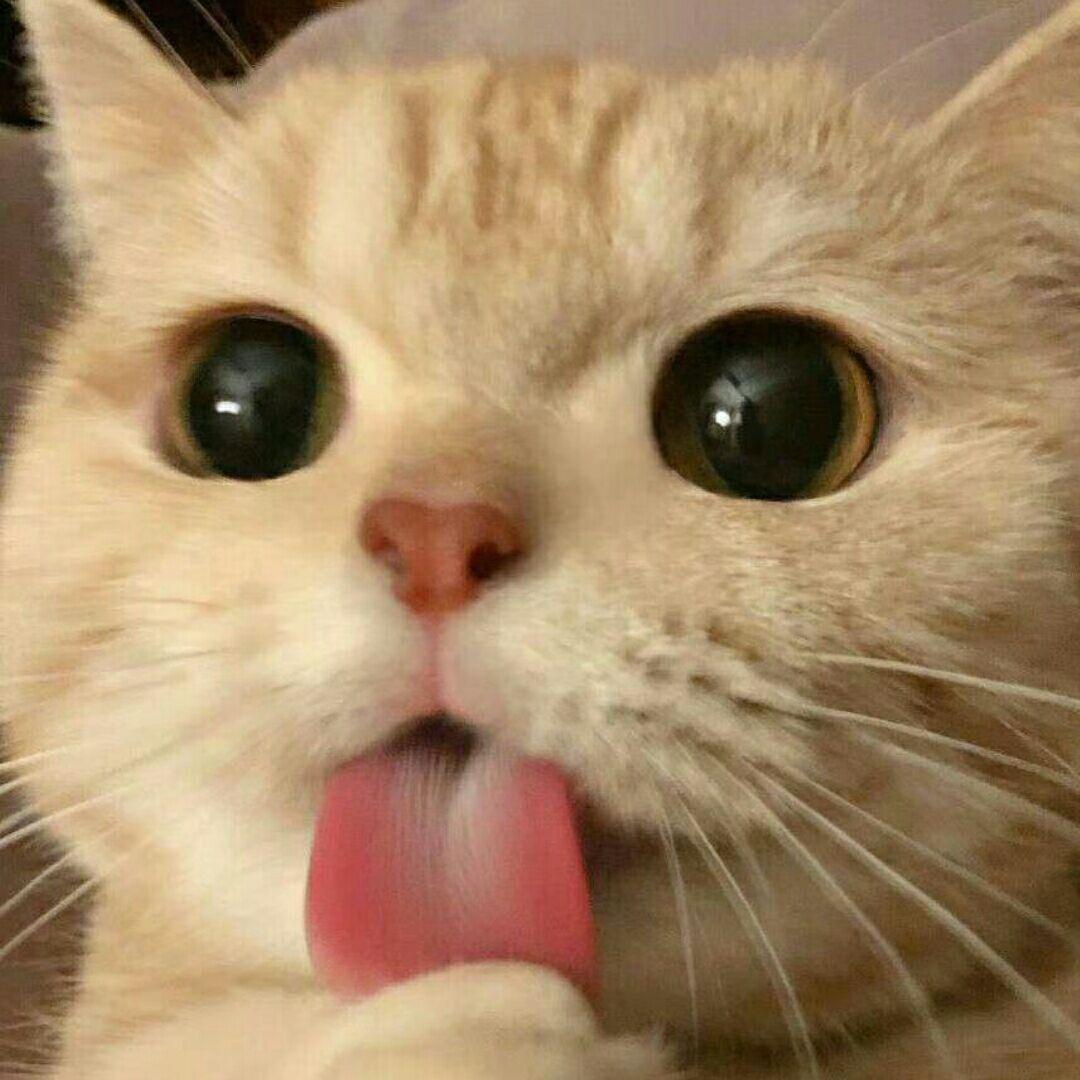 别看了什么也没有