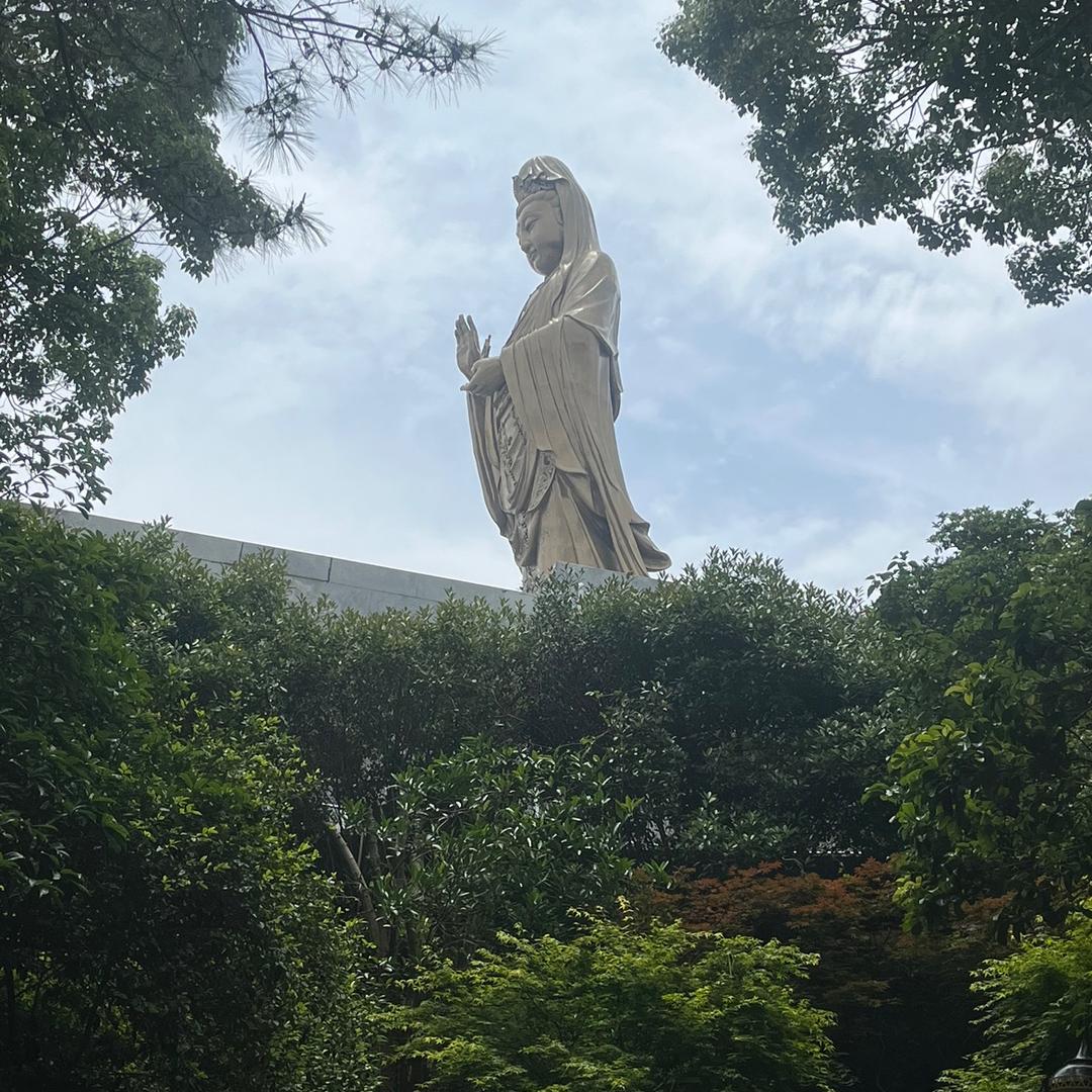 韩家府🪷🪷🪷