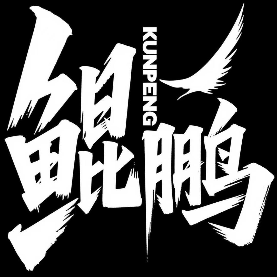 洛阳鲲鹏航空无人机培训