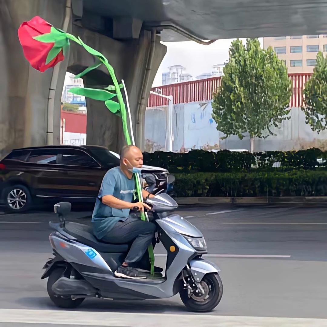 🎣   𝐋𝐮𝐫𝐞