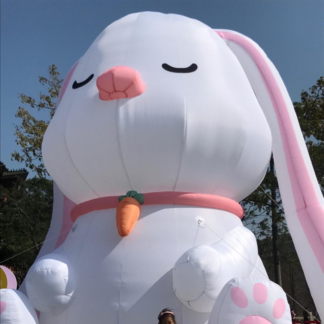 哔哩叭啦梅小姐