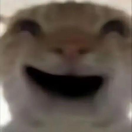 帝一《三角洲行动跑刀手》