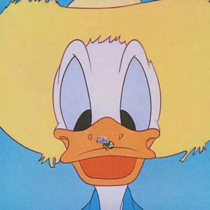 奥戴丽好笨.@抖音