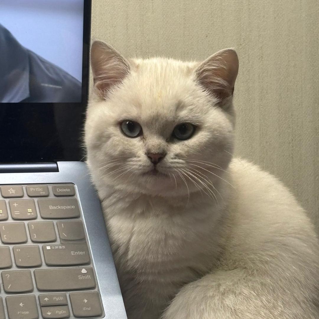 是妙芙不是德芙