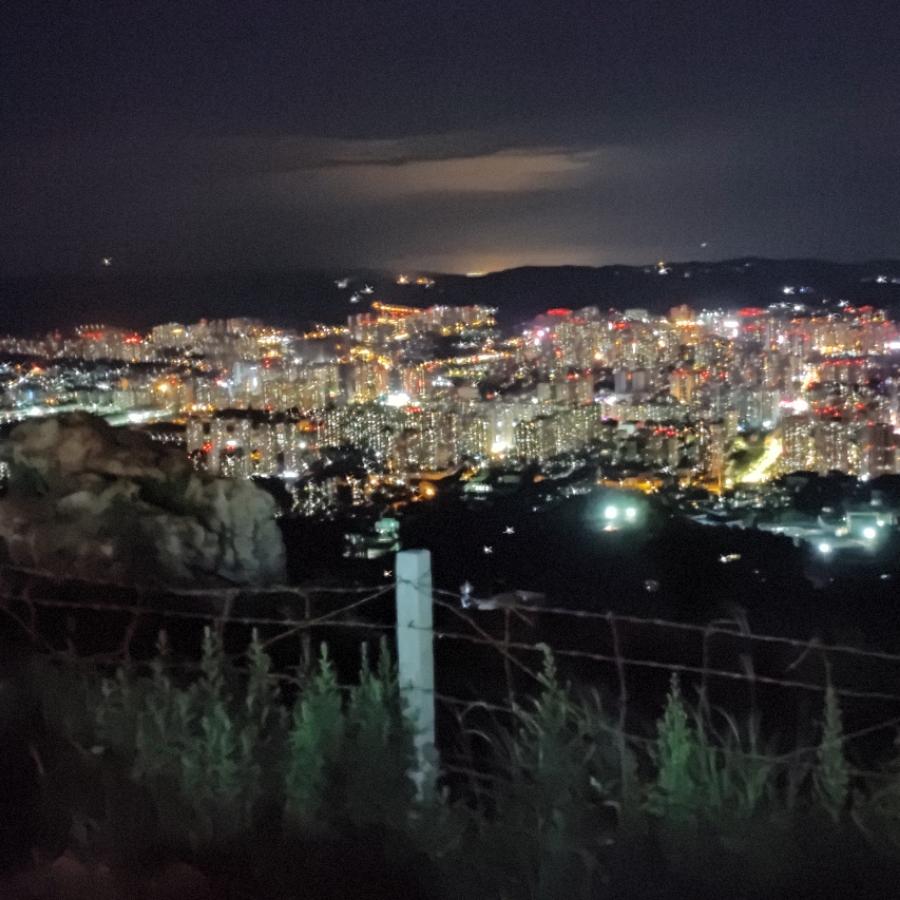 寂寞孤独冷