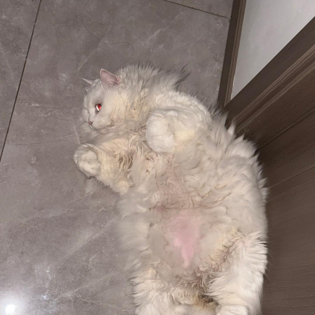 小王（三角洲猛攻版）