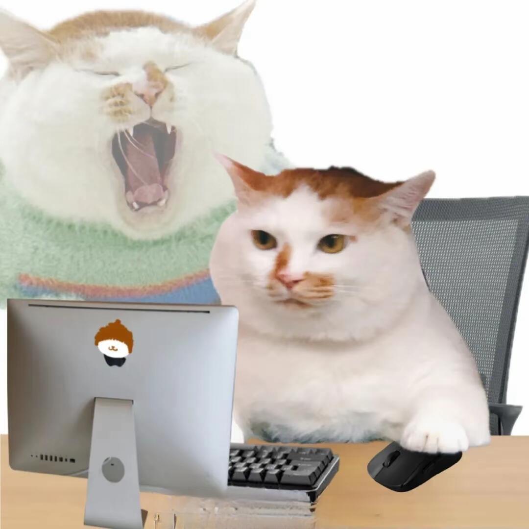 本命是辣椒炒肉