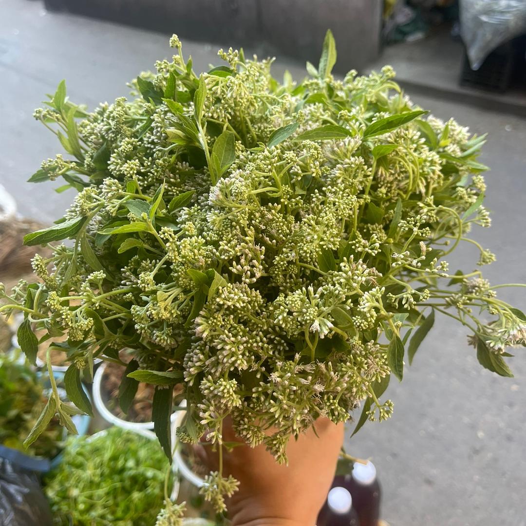 一页书