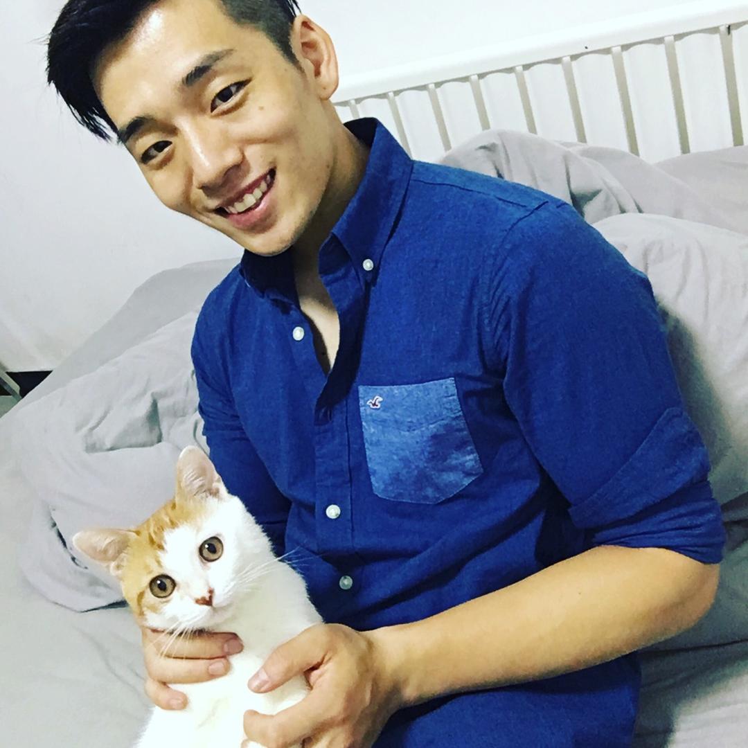 叮当猫响叮当