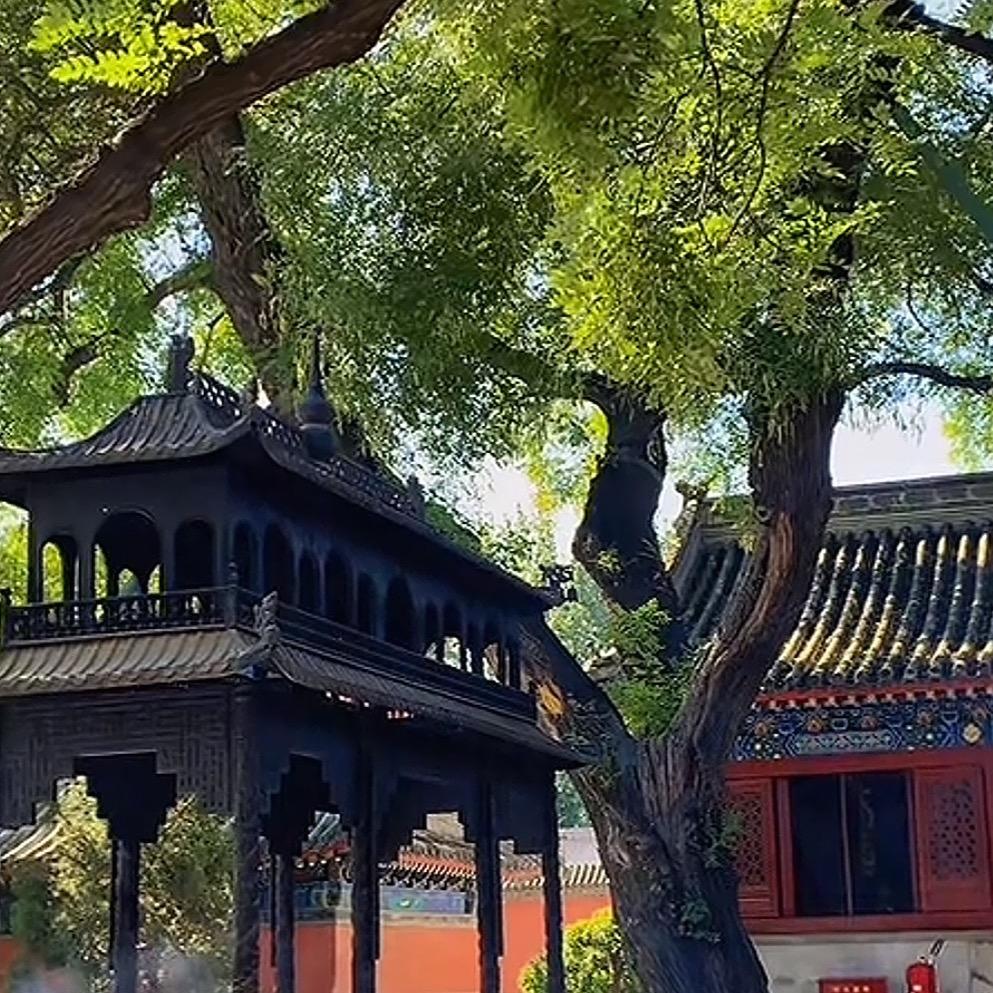 云飞1