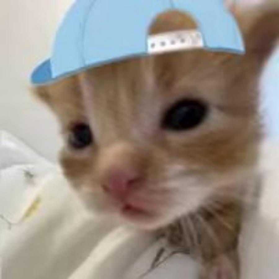 心清零