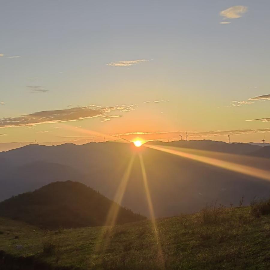 @洪哥