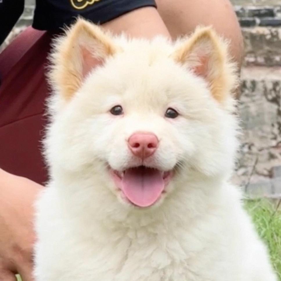 汐汐