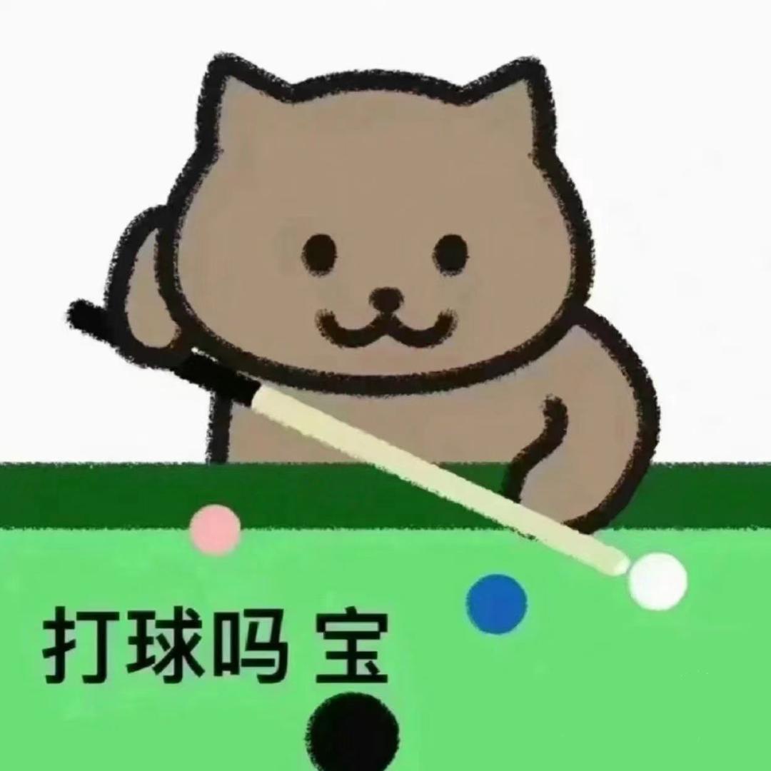 星牌台球俱乐部新郑店