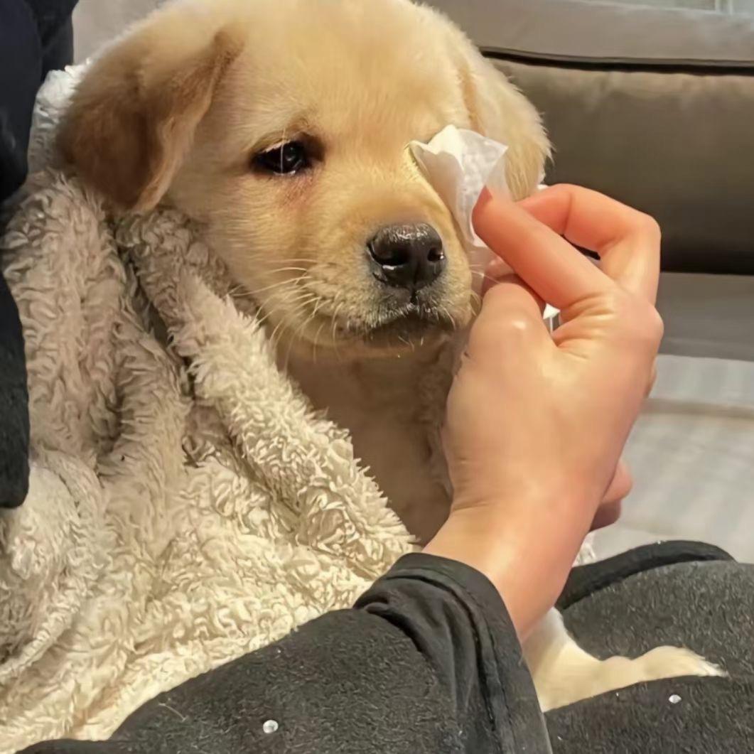 番茄鸡蛋牛肉面