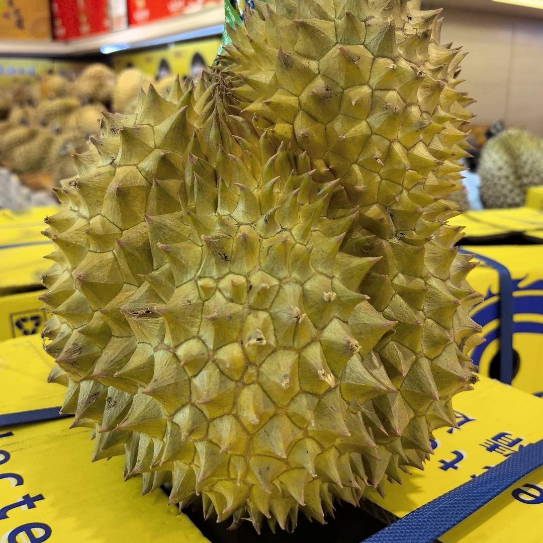 熟果地送哥