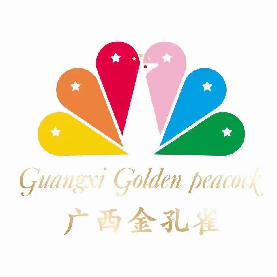 南宁金孔雀艺术培训中心