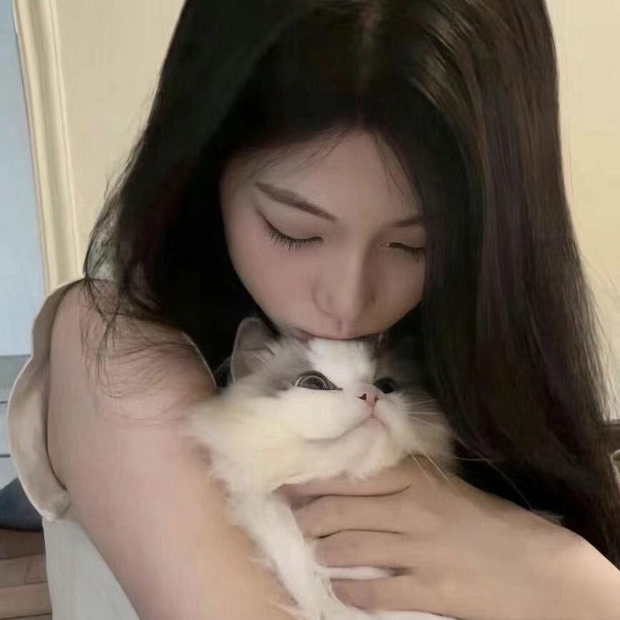 白鸽𓅯ˎˊ