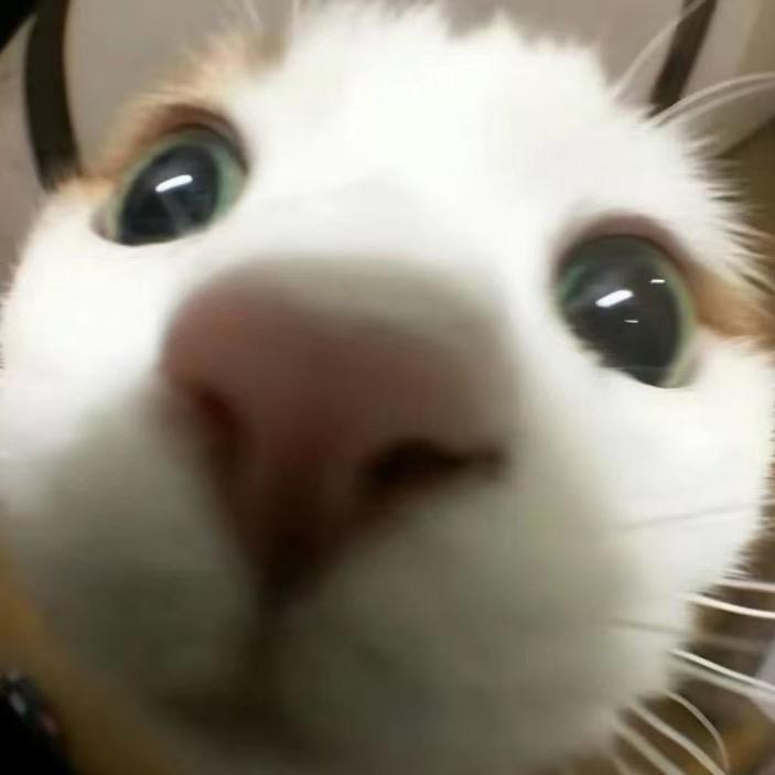 平安。。。。。