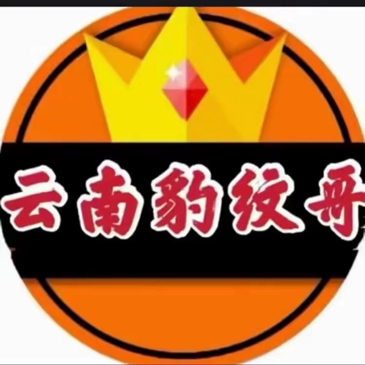安宁豹纹哥（记录号）带你走进西藏