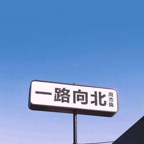 风筝 llll