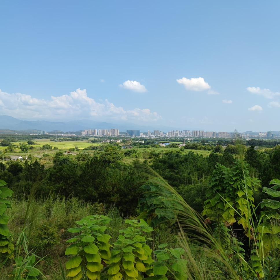 📹🎥🖲️🖨️🖥️📽️ 📷📞