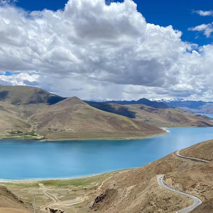 旷银广告葡萄123直播号