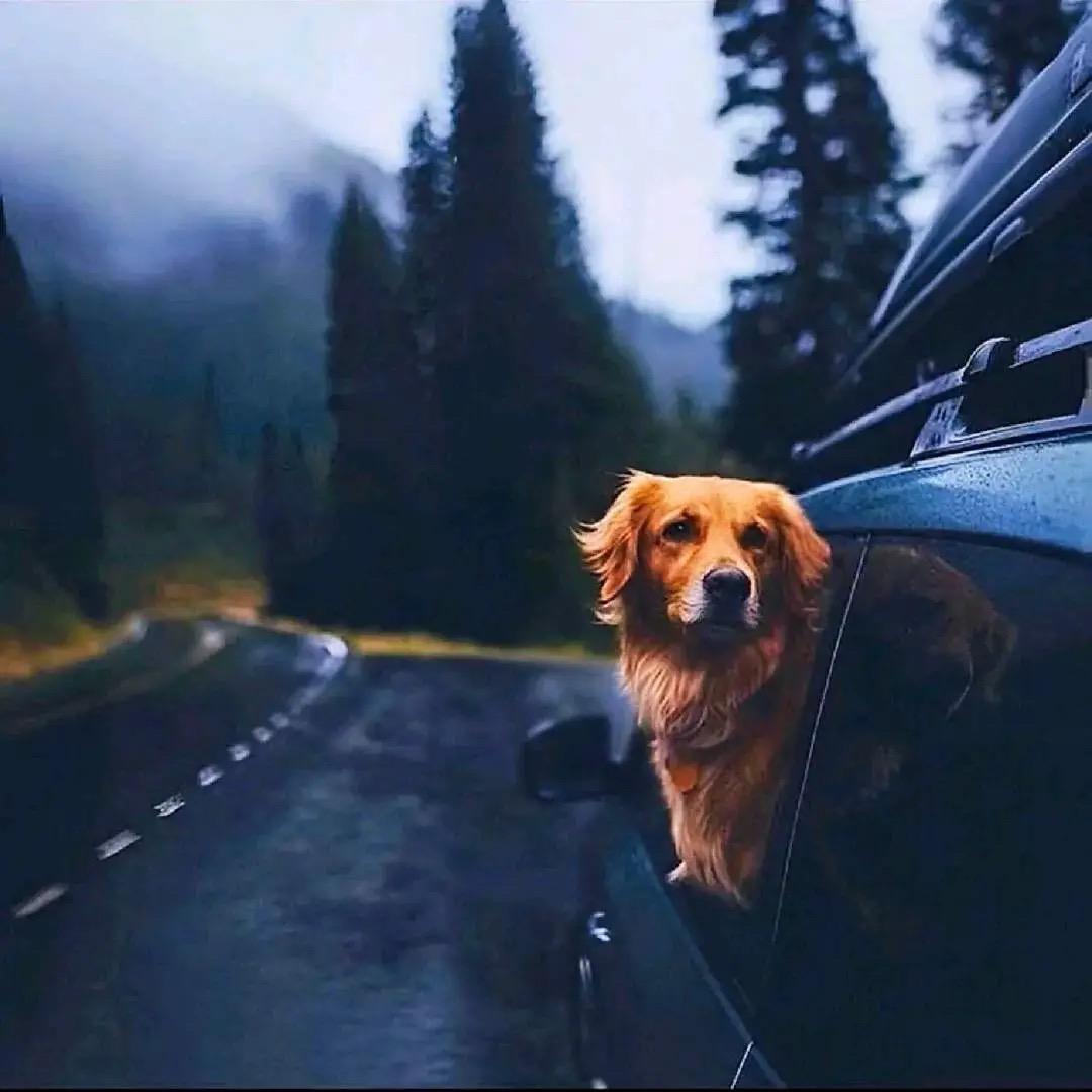 千人千面自风流