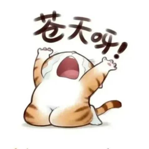 拿铁刘十一