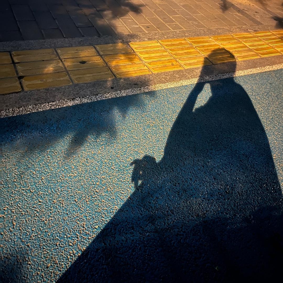 菠萝里的大芒果