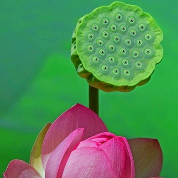 随缘***