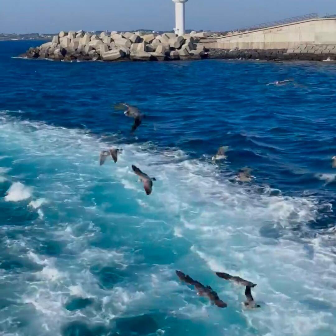 46893你500398直播号