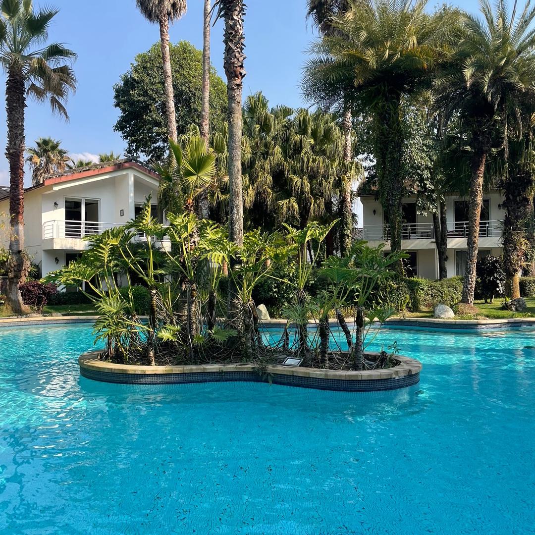 ૮ ºﻌºა虎哥芬