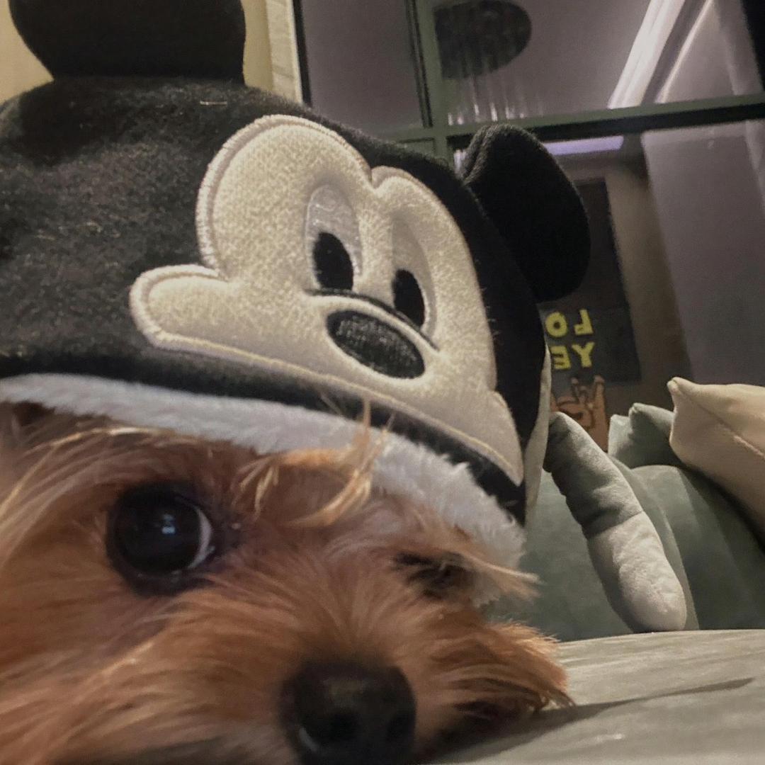 kk🏮安家顾问🎁